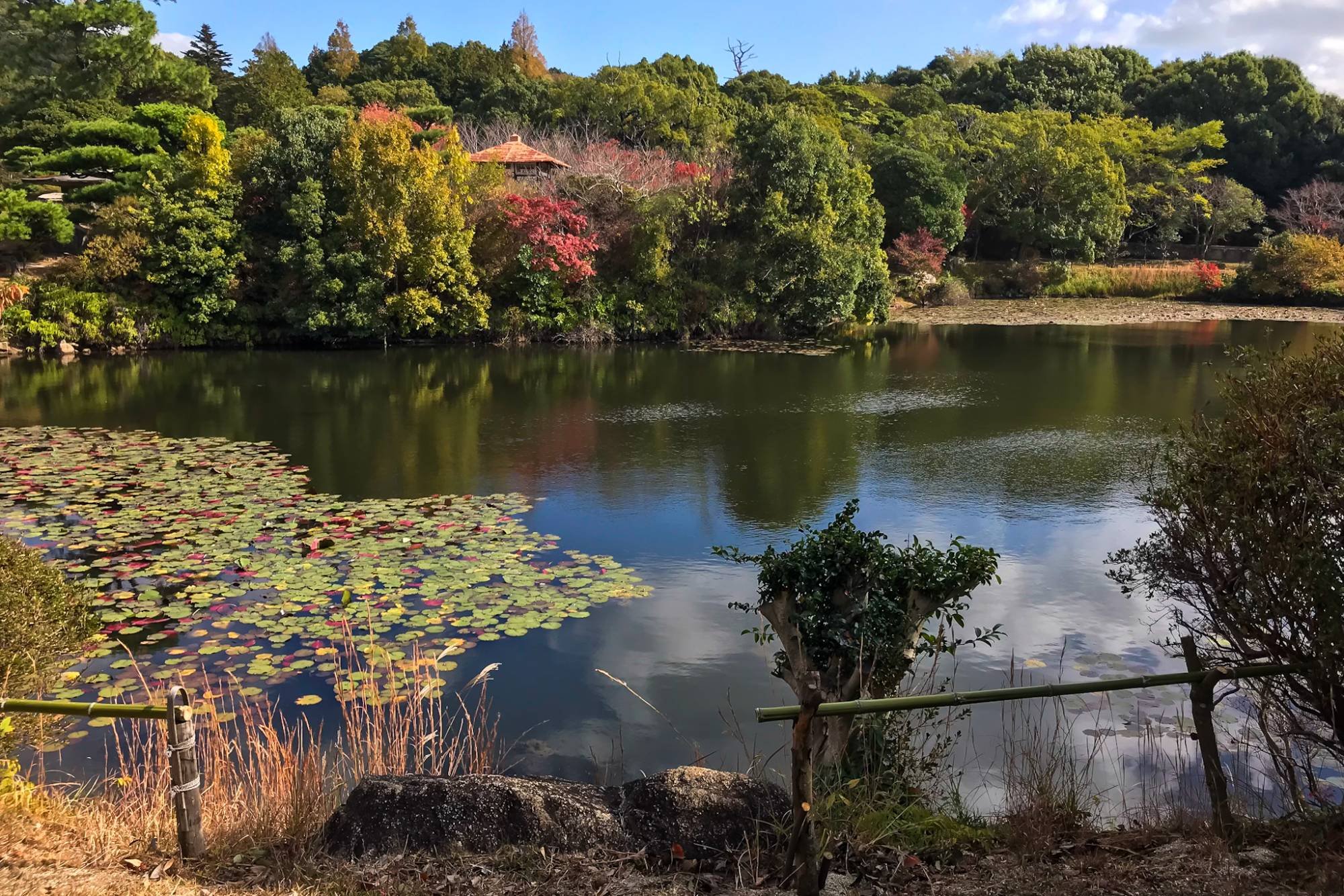 🌳 모리 씨 정원(모리시테이엔) 이미지 8